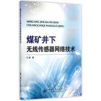 矿业工程与网络工程的融合 数字化时代的矿业新篇章